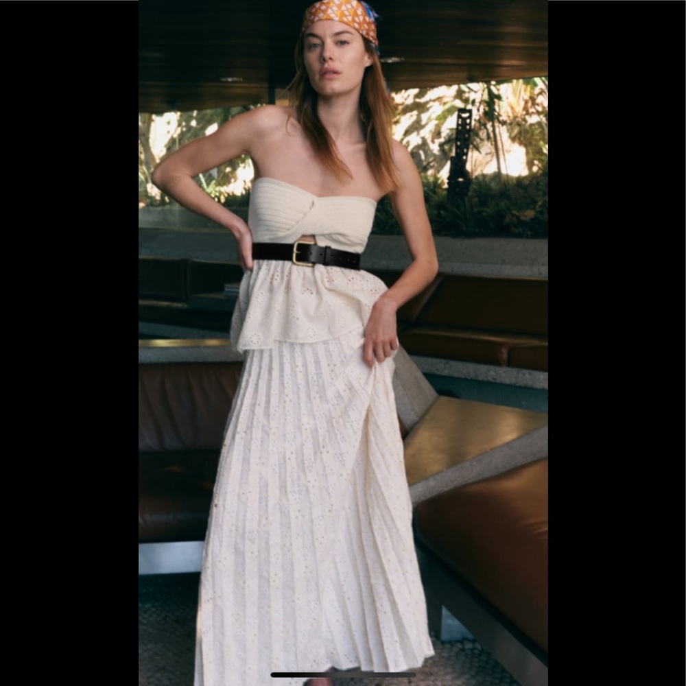 Zara embroidered plated skirt
